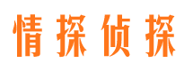 南岸寻人公司